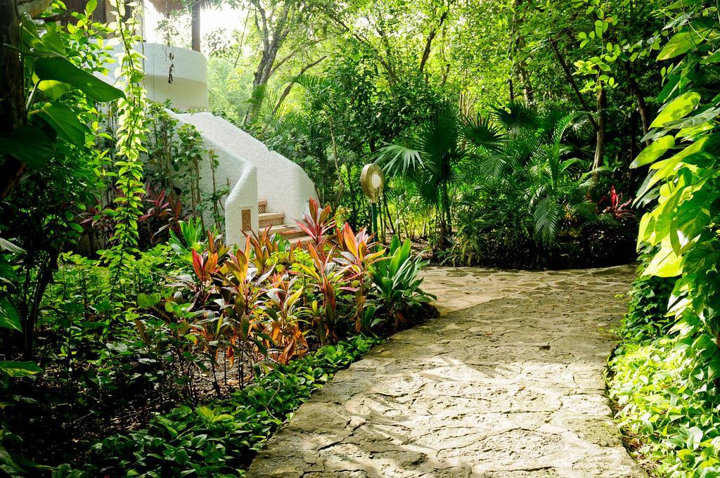 Amarte Maroma Hotel Eco Boutique Spa Punta Maroma Εξωτερικό φωτογραφία