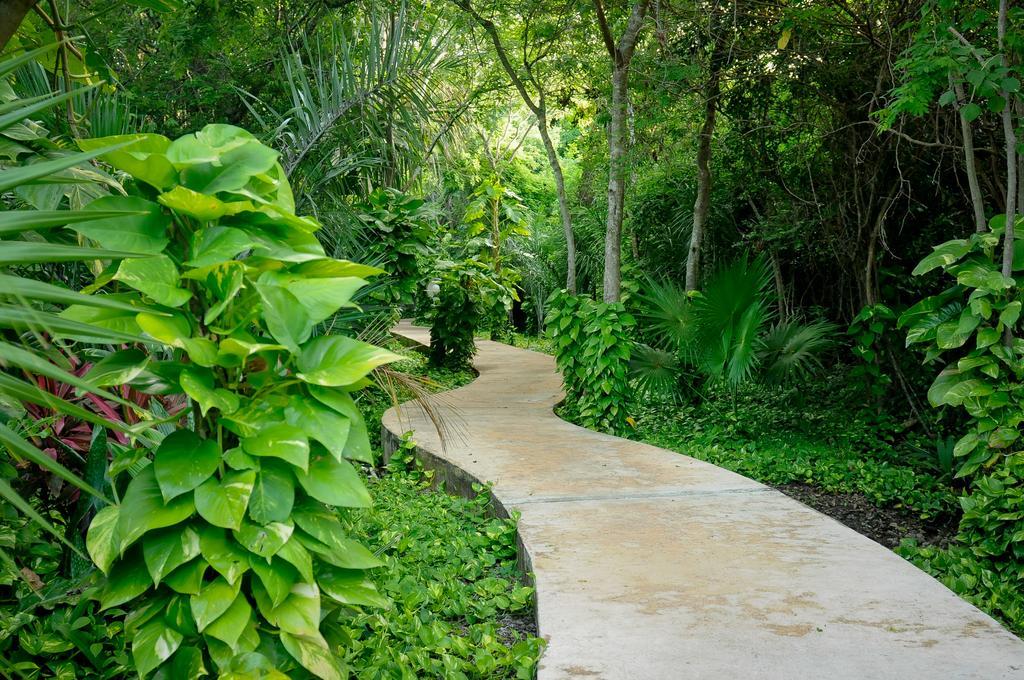 Amarte Maroma Hotel Eco Boutique Spa Punta Maroma Εξωτερικό φωτογραφία