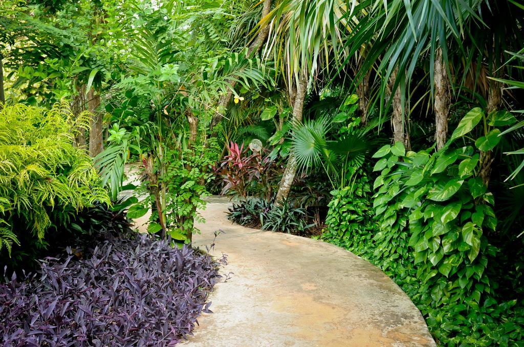Amarte Maroma Hotel Eco Boutique Spa Punta Maroma Εξωτερικό φωτογραφία