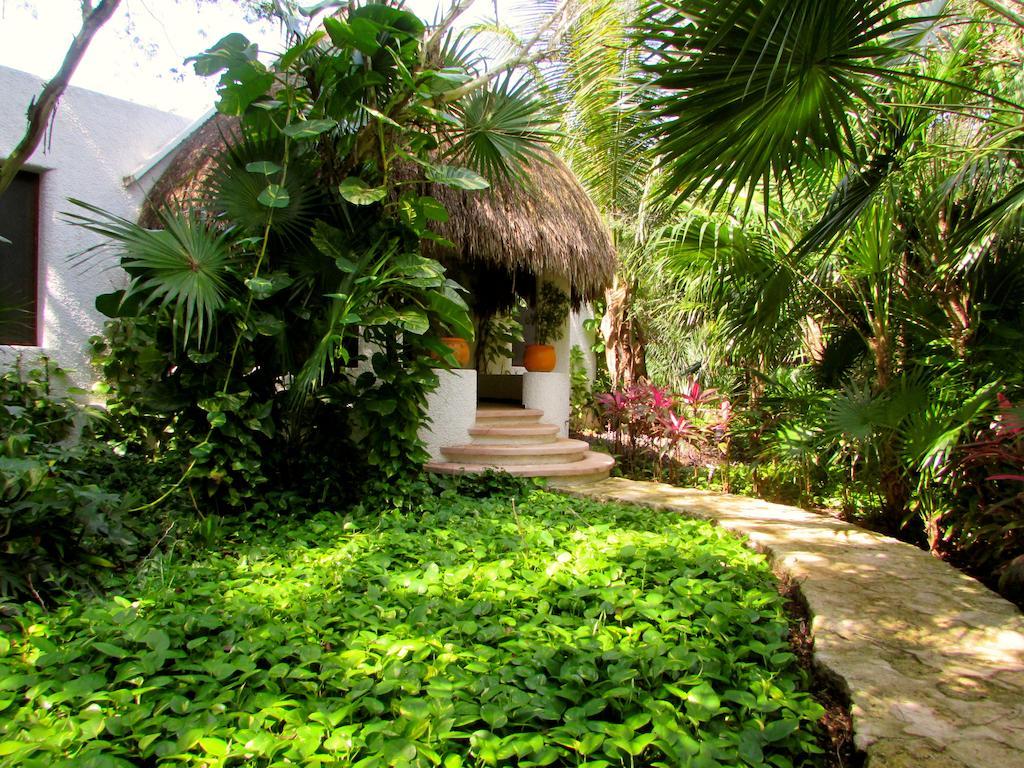 Amarte Maroma Hotel Eco Boutique Spa Punta Maroma Εξωτερικό φωτογραφία