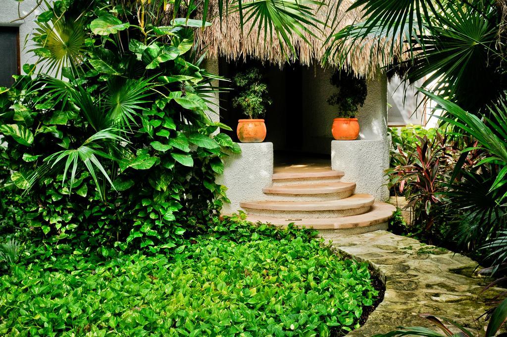 Amarte Maroma Hotel Eco Boutique Spa Punta Maroma Δωμάτιο φωτογραφία